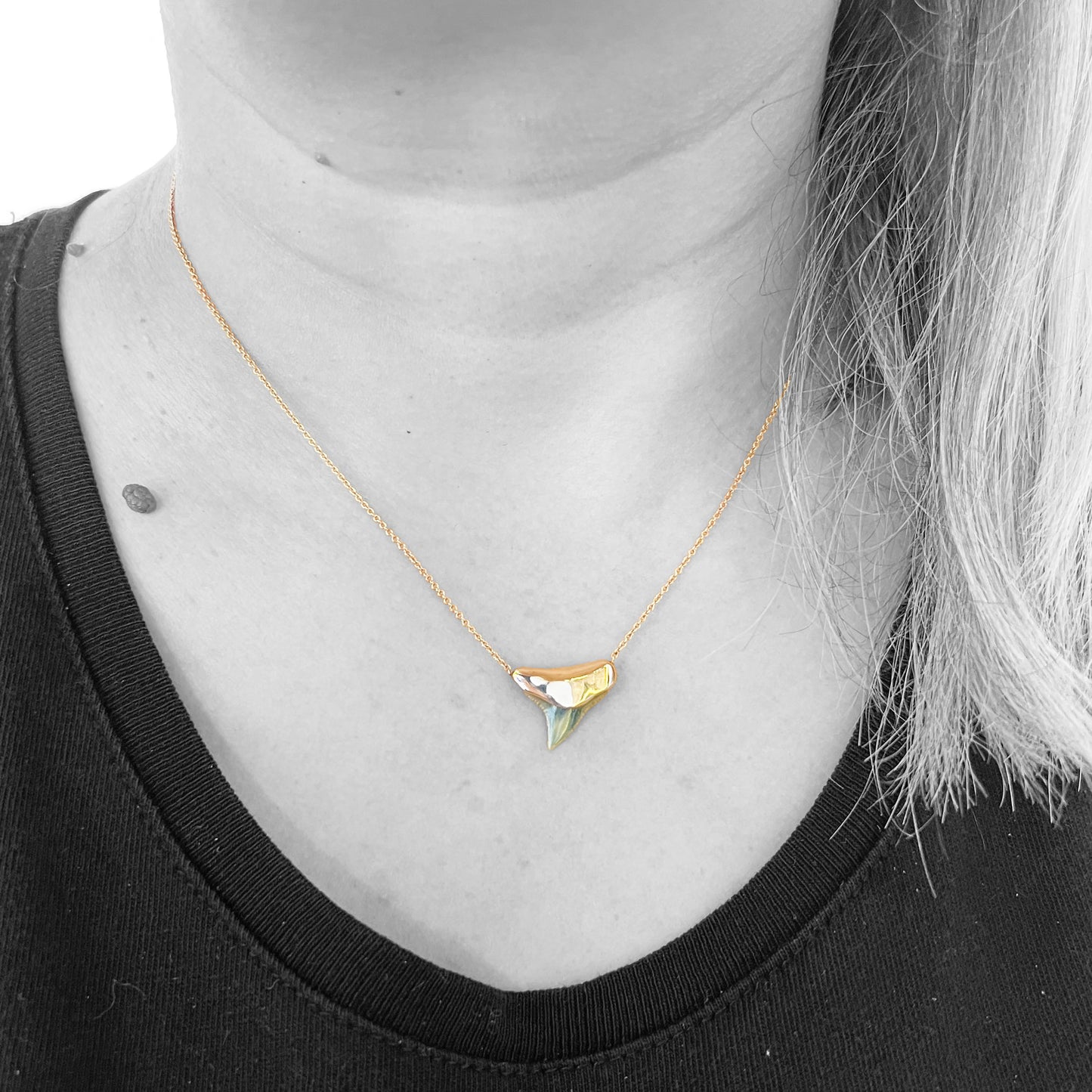 14kr Shark Tooth Pendant