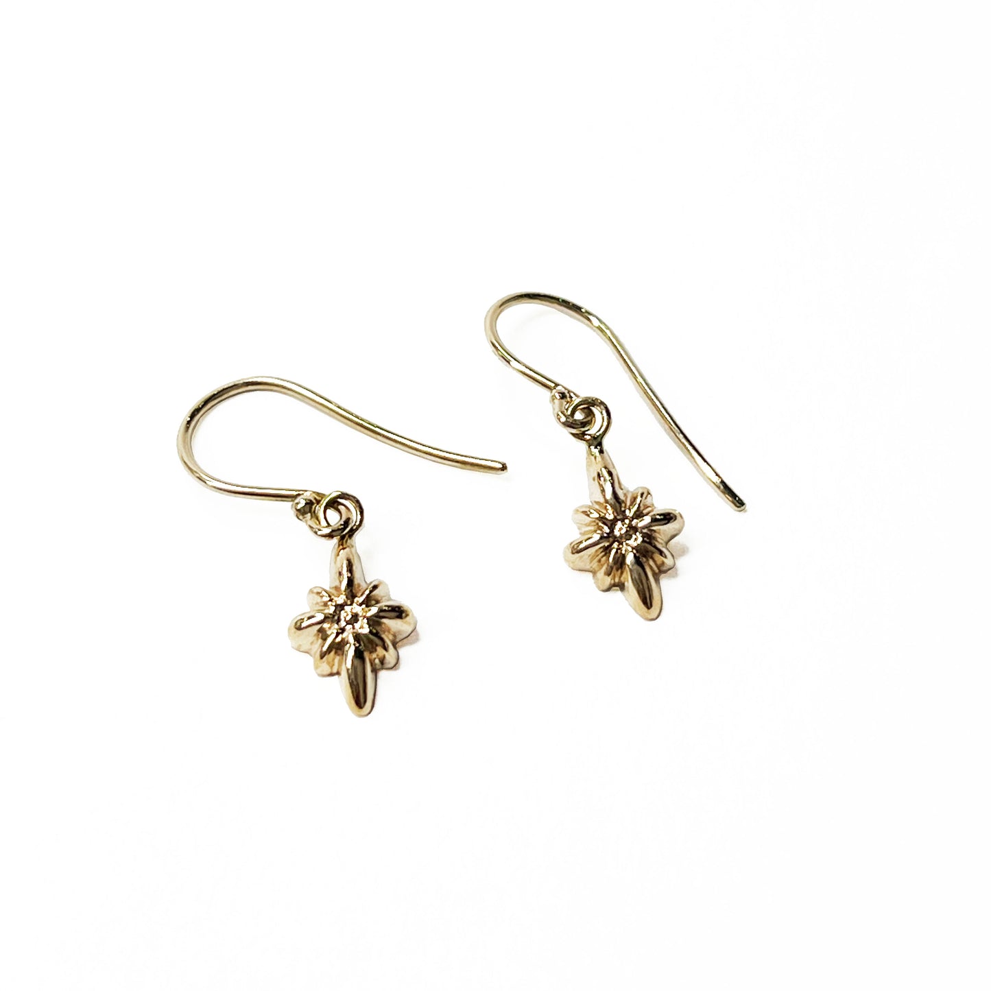 14KY Earrings