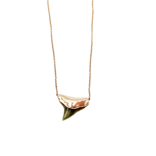 14kr Shark Tooth Pendant