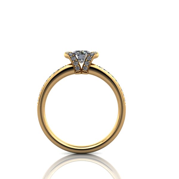 Diamond Ring with Diamond Details - eklektic jewelry studio